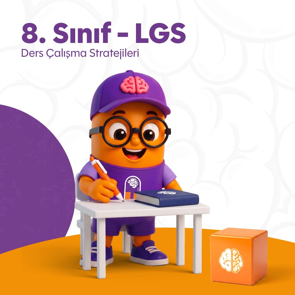 Ders Çalışma Stratejileri - 8.Sınıf